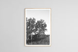 Modern Fine Art Photograph - Dune Study #3