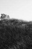 Modern Fine Art Photograph - Dune Study #4