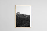 Modern Fine Art Photograph - Dune Study #4