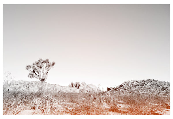 Modern Fine Art Photograph - Desert Mauve #2