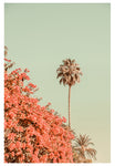 Modern Fine Art Photograph - Distant Palms