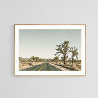 Modern Fine Art Photograph - Driving Joshua Tree #1