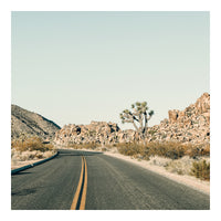 Modern Fine Art Photograph - Driving Joshua Tree #2