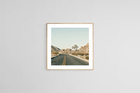 Modern Fine Art Photograph - Driving Joshua Tree #2