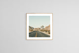 Modern Fine Art Photograph - Driving Joshua Tree #2