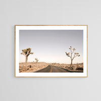 Modern Fine Art Photograph - Driving Joshua Tree #3