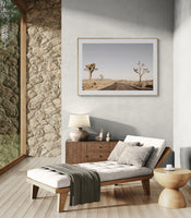 Modern Fine Art Photograph - Driving Joshua Tree #3