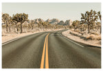 Modern Fine Art Photograph - Driving Joshua Tree #4