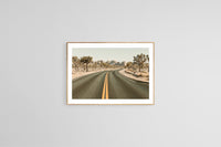 Modern Fine Art Photograph - Driving Joshua Tree #4