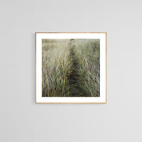 Modern Fine Art Photograph - Dune Crossing