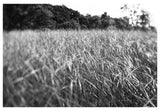Modern Fine Art Photograph - Dune Walk