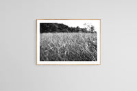 Modern Fine Art Photograph - Dune Walk