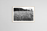 Modern Fine Art Photograph - Dune Walk