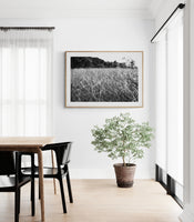 Modern Fine Art Photograph - Dune Walk