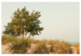 Modern Fine Art Photograph - Feels Like Home #1