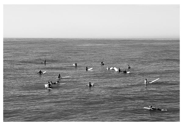 Modern Coastal Fine Art Photograph - Friends and Neighbors #1