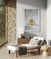 Modern Fine Art Photograph - Grandiflora #3