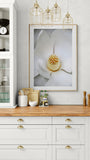 Modern Fine Art Photograph - Grandiflora #3