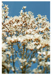 Holding My Breath - Fine Art Photograph