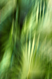 Modern Fine Art Abstract Photograph - In This Life