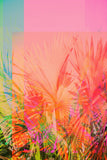 Modern Fine Art Abstract Photograph - Layered Memories #3