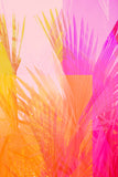 Modern Fine Art Abstract Photograph - Layered Memories #4
