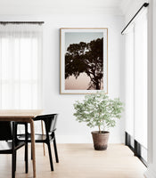 Modern Fine Art Photograph - Live Oak With Moon