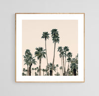 Modern Fine Art Photograph - Mid-Century Palms #1