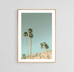 Modern Fine Art Photograph - Mid- Century Palms #3