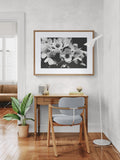 Modern Fine Art Print - Midnight Anemone #2