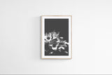 Modern Fine Art Print - Midnight Anemone #3