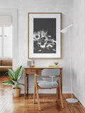 Modern Fine Art Print - Midnight Anemone #3