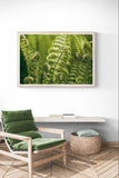 Modern Fine Art Photograph - Morning Fern #2