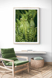Modern Fine Art Photograph - Morning Fern #3