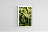 Modern Fine Art Photograph - Morning Hosta #1