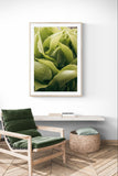Modern Fine Art Photograph - Morning Hosta #6