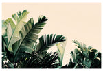 Paradise #2 - Fine Art Photograph