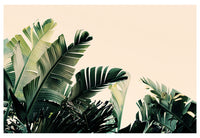 Paradise #2 - Fine Art Photograph