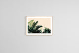 Paradise #2 - Fine Art Photograph