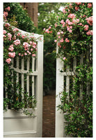 Modern Botanical Photograph - Roses and Jasmine