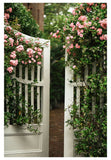 Modern Botanical Photograph - Roses and Jasmine
