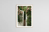 Modern Botanical Photograph - Roses and Jasmine