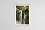 Modern Botanical Photograph - Roses and Jasmine