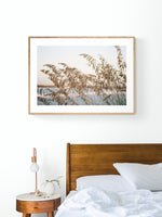 Modern Fine Art Photograph - Sea Oats #2