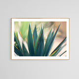 Spine #6 -  Fine Art Photograph