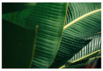 Modern Fine Art Photograph - Sun Drops
