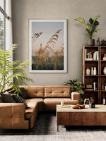 Modern Fine Art Photograph - Sea Oat Season #1