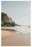 Modern Fine Art Photograph - Seven Sea Birds