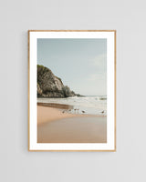 Modern Fine Art Photograph - Seven Sea Birds