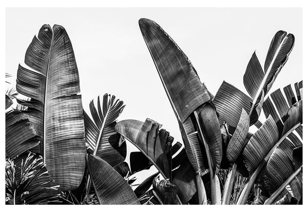 Modern Fine Art Photograph - Silver Skies #2